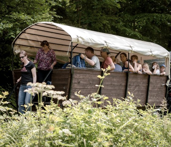 Nengshof-6998 Nengshof-6998