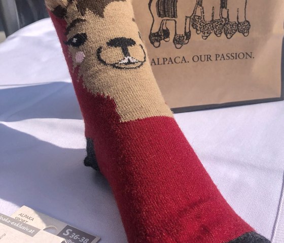 Socken aus wärmender Alpaka-Wolle, © TI Bitburger Land Socken aus wärmender Alpaka-Wolle, © TI Bitburger Land