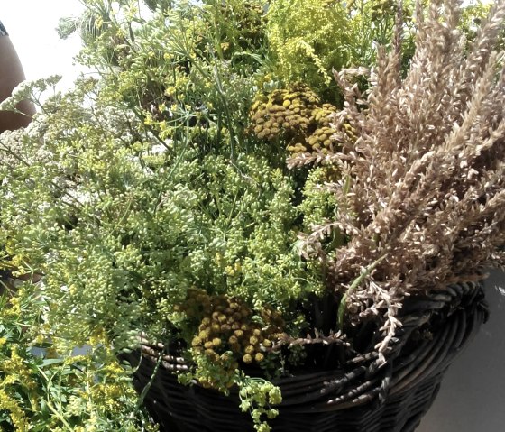 Krautwisch, © Melanie Salzburger Krautwisch, © Melanie Salzburger