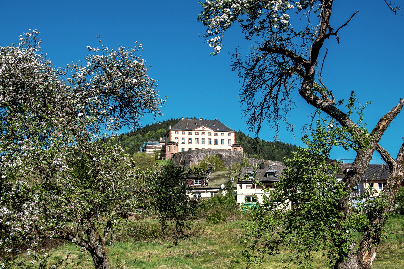 Frühling Schloss Malberg, © TI Bitburger Land
