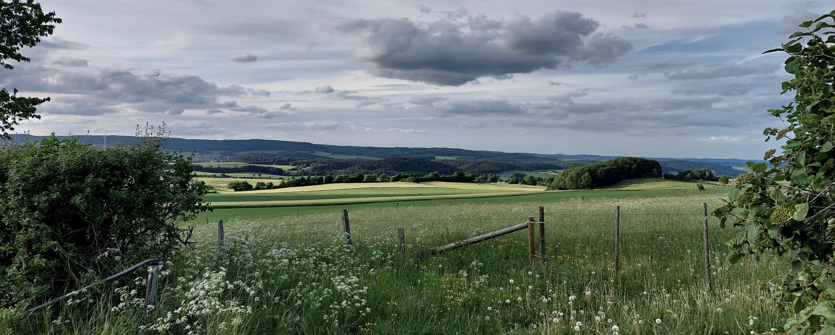 View of the eastern limestone hollow Büdesheim, © Tourist-Information Prümer Land Elke Dahm View of the eastern limestone hollow Büdesheim, © Tourist-Information Prümer Land Elke Dahm
