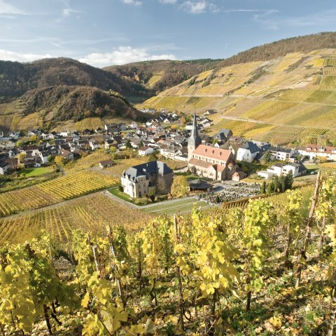 Mayschoß, © Ahrtal Tourismus Bad Neuenahr-Ahrweiler Mayschoß, © Ahrtal Tourismus Bad Neuenahr-Ahrweiler