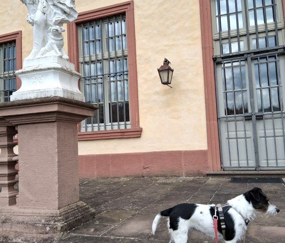 1062335a-dad8-4977-8b60-2d179df7be97 1062335a-dad8-4977-8b60-2d179df7be97