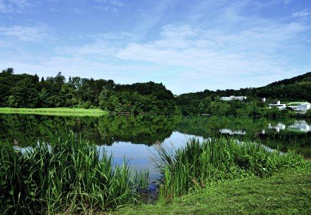 Ein ruhiger See mit grüner Vegetation am Ufer, Bäume und Gebäude im Hintergrund unter einem blauen Himmel., © TI Bitburger Land Ein ruhiger See mit grüner Vegetation am Ufer, Bäume und Gebäude im Hintergrund unter einem blauen Himmel., © TI Bitburger Land