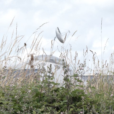 Een veld met hoog gras en bloemen, op de achtergrond is een grote schotelantenne te zien., © TI Bitburger Land Een veld met hoog gras en bloemen, op de achtergrond is een grote schotelantenne te zien., © TI Bitburger Land