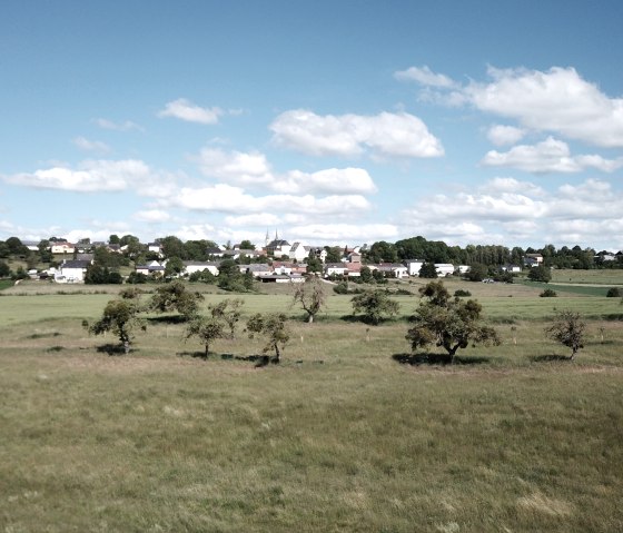 Grüne Wiesen mit vereinzelten Bäumen, im Hintergrund das Dorf Idenheim unter blauem Himmel mit weißen Wolken., © Ingrid Penning Grüne Wiesen mit vereinzelten Bäumen, im Hintergrund das Dorf Idenheim unter blauem Himmel mit weißen Wolken., © Ingrid Penning