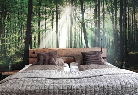 Exemple de chambre Exemple de chambre