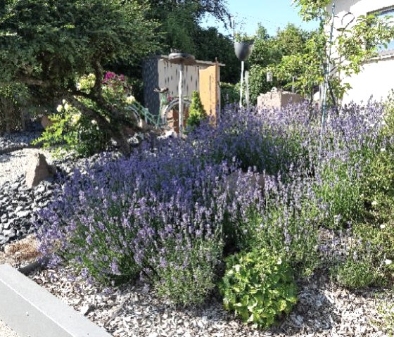 20230625_170809 20230625_170809