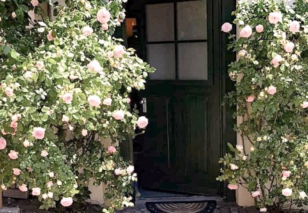 IMG_20190606_195214 IMG_20190606_195214