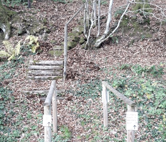 A hiking trail with wooden railings leads through a leafy forest. Signs point to paths 22 and 2b to Echtersbach and Hermesdorf., © Georg Lotzkes A hiking trail with wooden railings leads through a leafy forest. Signs point to paths 22 and 2b to Echtersbach and Hermesdorf., © Georg Lotzkes