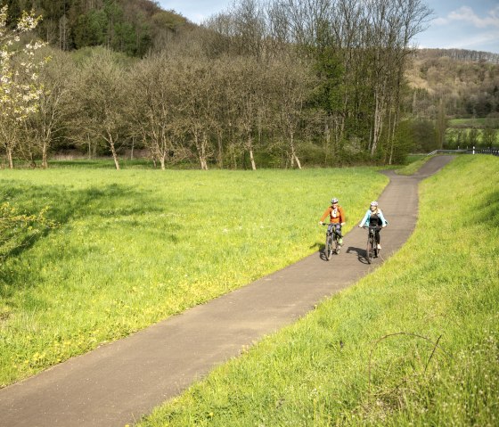 Fietstocht door de natuur op het Enz-fietspad, © Eifel Tourismus GmbH, Dominik Ketz Fietstocht door de natuur op het Enz-fietspad, © Eifel Tourismus GmbH, Dominik Ketz