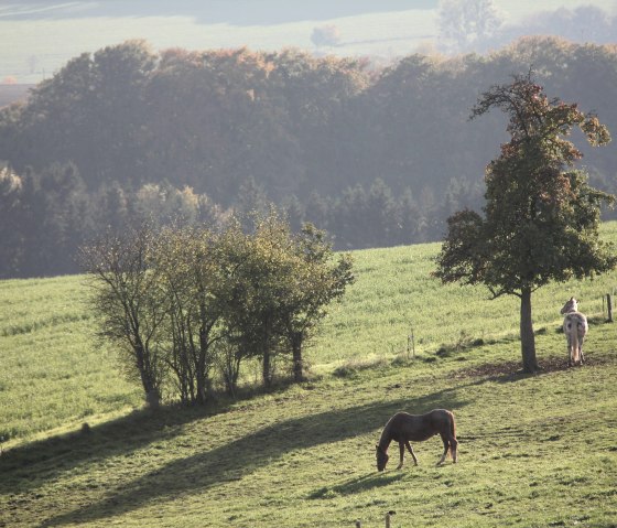 Vue de la propriété Vue de la propriété