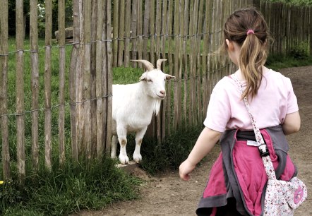 Urlaub auf dem Bauernhof Urlaub auf dem Bauernhof