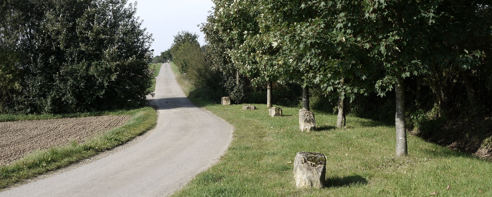 Un chemin asphalté serpente à travers un paysage verdoyant d'arbres et de prairies. Des pierres bordent le chemin., © Berscheid Un chemin asphalté serpente à travers un paysage verdoyant d'arbres et de prairies. Des pierres bordent le chemin., © Berscheid