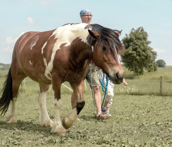 Nengshof-7102 Nengshof-7102