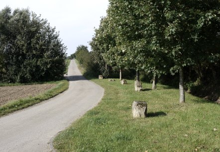 An asphalt path winds its way through a green landscape of trees and meadows. Stones line the path., © Berscheid An asphalt path winds its way through a green landscape of trees and meadows. Stones line the path., © Berscheid