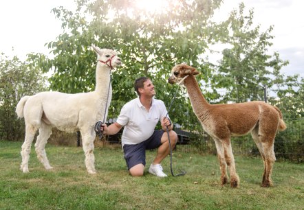 Alpaka Messerich 5, © Christian Thommes Alpaka Messerich 5, © Christian Thommes