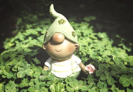 Gnome in the clover, © Pixabay Gnome in the clover, © Pixabay