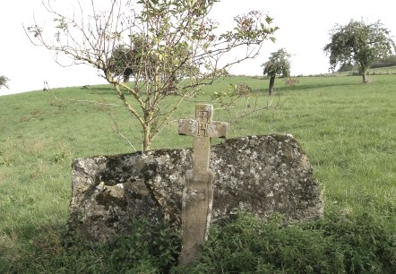 Streuobstwiesen oberhalb von Erdorf mit Wegkreuz von 1804, © NaturAktivErleben Streuobstwiesen oberhalb von Erdorf mit Wegkreuz von 1804, © NaturAktivErleben