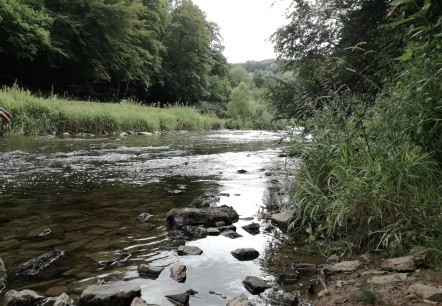 Die Kyll, © Tourist-Information Bitburger Land Die Kyll, © Tourist-Information Bitburger Land