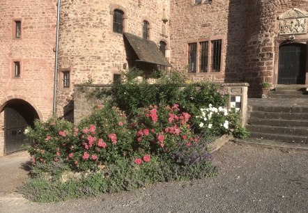 Schloss Hamm - Impression Schloss Hamm - Impression