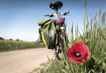 Fahrrad Mohn Fahrrad Mohn