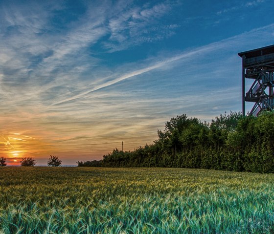 Aussichtsturm in Zemmer-Rodt, © Makro Tom Aussichtsturm in Zemmer-Rodt, © Makro Tom