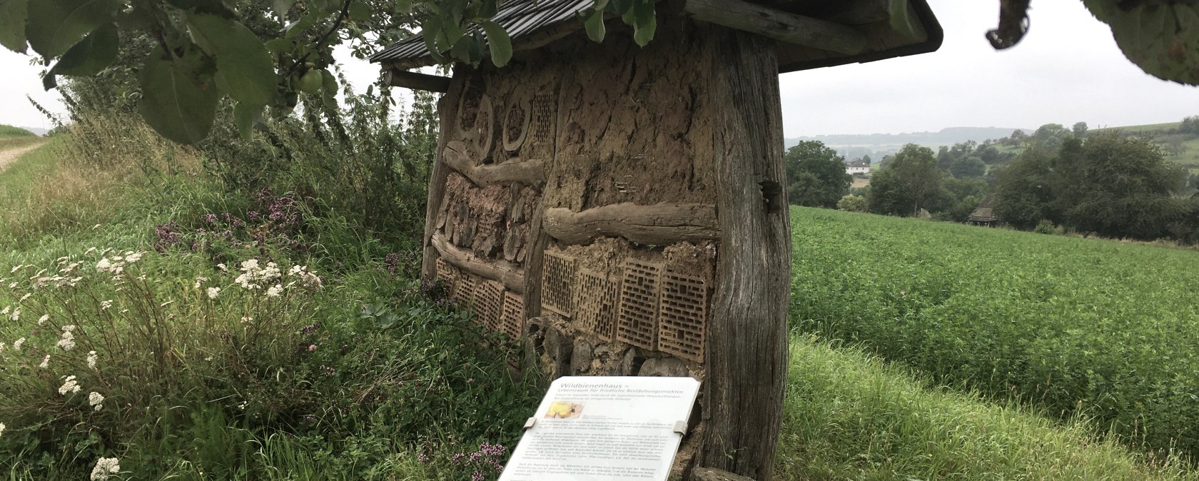 Bee house - hiking trail W2 Wilsecker, © TI Bitburger Land Bee house - hiking trail W2 Wilsecker, © TI Bitburger Land