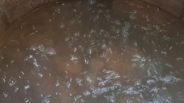 Blubbernde Victoriaquelle, © Tourist Information Wittlich Stadt & Land Blubbernde Victoriaquelle, © Tourist Information Wittlich Stadt & Land