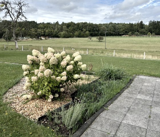 FullSizeRender-7 FullSizeRender-7