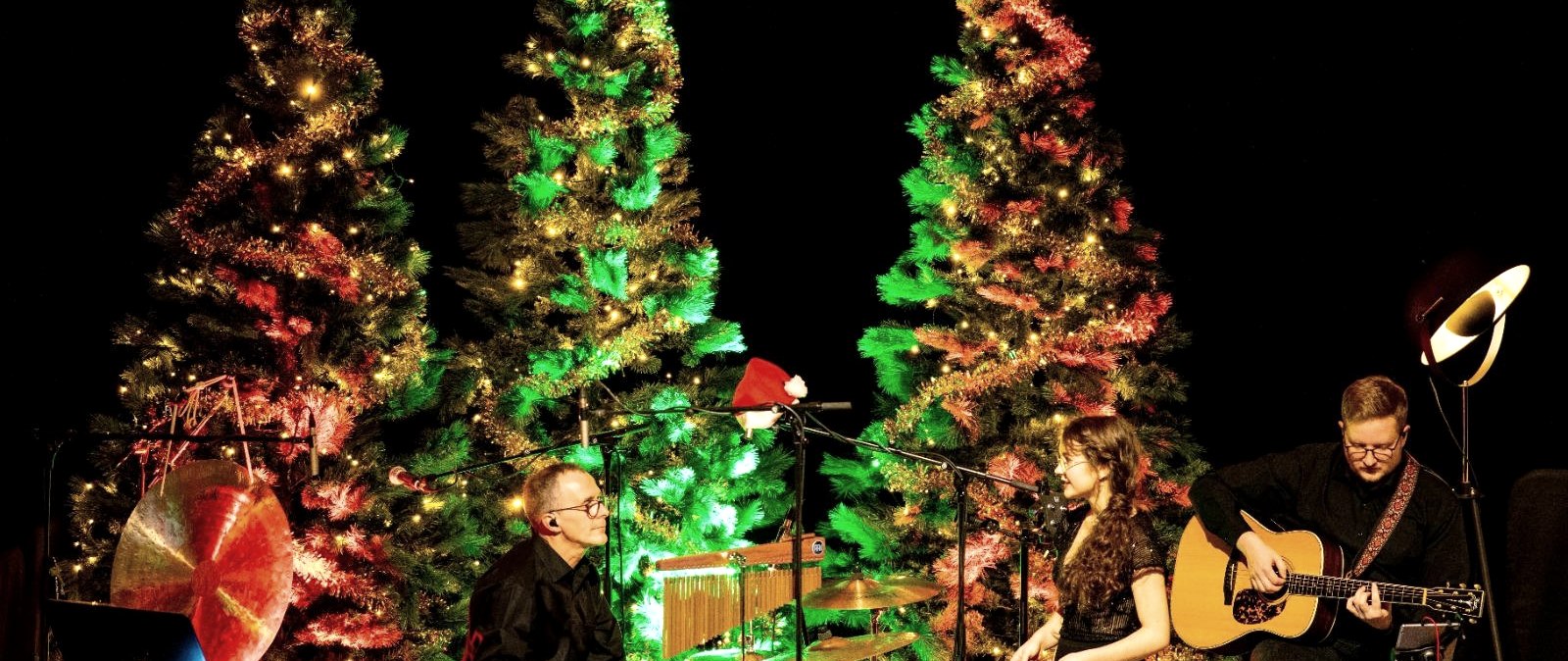 Wohnzimmerkonzert, © Rainer Tures Band Wohnzimmerkonzert, © Rainer Tures Band