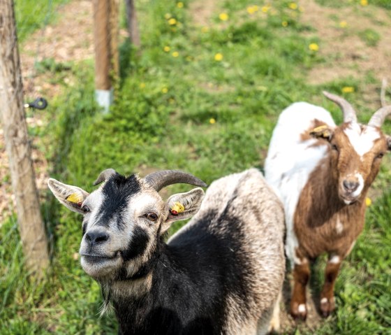 1920__output_Buero_140523_Orsfeld_Ferienwohnung_A7 1920__output_Buero_140523_Orsfeld_Ferienwohnung_A7