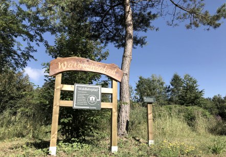Holztafel mit der Aufschrift 'Waldlehrpfad' und Infotafel, umgeben von Bäumen und Wiese unter blauem Himmel., © TI Bitburger Land Holztafel mit der Aufschrift 'Waldlehrpfad' und Infotafel, umgeben von Bäumen und Wiese unter blauem Himmel., © TI Bitburger Land