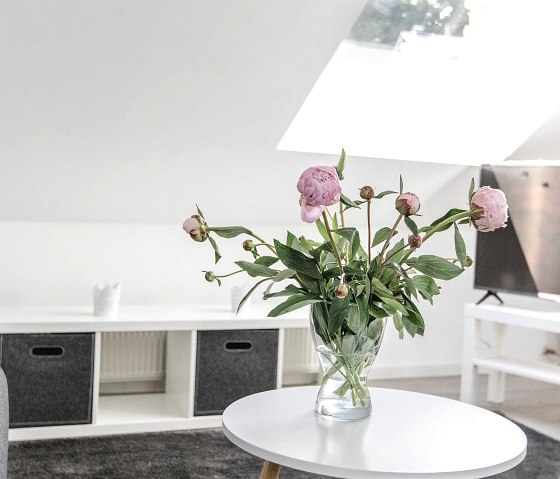 Springfeeling Springfeeling