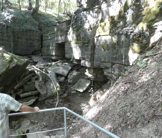 A man looks at a moss-covered rock formation in the forest. The scene is flooded with natural light., © TI Bitburger Land A man looks at a moss-covered rock formation in the forest. The scene is flooded with natural light., © TI Bitburger Land