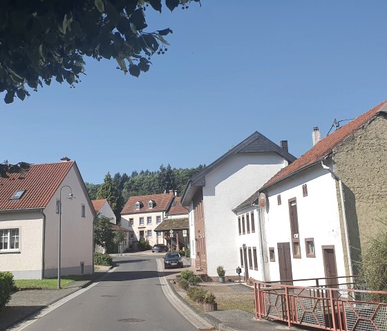 Dorfstraße in Dahlem mit traditionellen Häusern und roten Dächern unter klarem, blauem Himmel. Ein Auto parkt am Straßenrand., © TI Bitburger Land Dorfstraße in Dahlem mit traditionellen Häusern und roten Dächern unter klarem, blauem Himmel. Ein Auto parkt am Straßenrand., © TI Bitburger Land