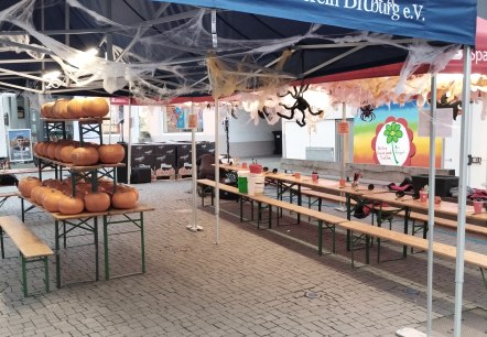 Station Kürbisschnitzen, © TI Bitburger Land Station Kürbisschnitzen, © TI Bitburger Land