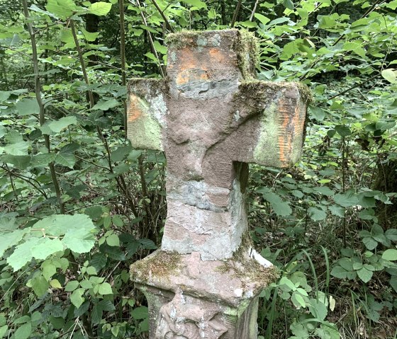 Een verweerd stenen kruis in het bos, bedekt met mos en omgeven door dicht gebladerte., © B. Milbach Een verweerd stenen kruis in het bos, bedekt met mos en omgeven door dicht gebladerte., © B. Milbach