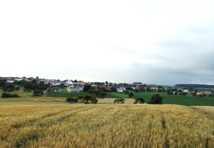 Weite Landschaft mit goldenen Getreidefeldern im Vordergrund und einem Dorf im Hintergrund unter einem bewölkten Himmel., © Conny Meier Weite Landschaft mit goldenen Getreidefeldern im Vordergrund und einem Dorf im Hintergrund unter einem bewölkten Himmel., © Conny Meier