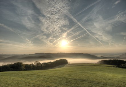 Chemin de la vallée de la Prüm, © Naturpark Südeifel, Pierre Haas Chemin de la vallée de la Prüm, © Naturpark Südeifel, Pierre Haas