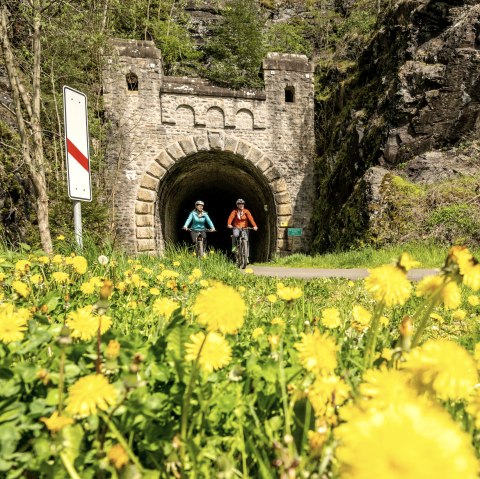 Enz-Radweg, ancien tunnel ferroviaire près de Neuerburg, © Eifel Tourismus GmbH, Dominik Ketz Enz-Radweg, ancien tunnel ferroviaire près de Neuerburg, © Eifel Tourismus GmbH, Dominik Ketz