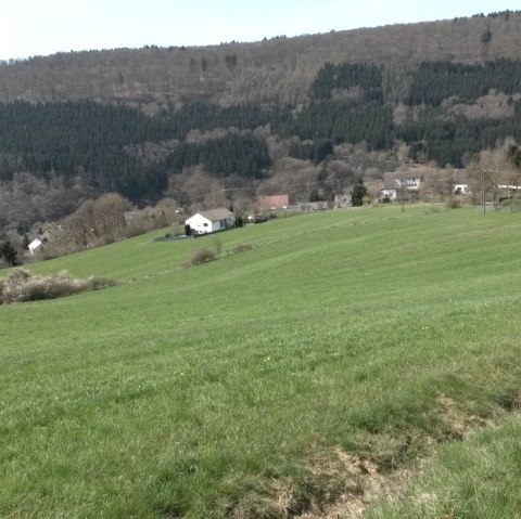 Green meadows stretch out in front of a small village with scattered houses, surrounded by wooded hills under a blue sky., © R. Schaal Green meadows stretch out in front of a small village with scattered houses, surrounded by wooded hills under a blue sky., © R. Schaal