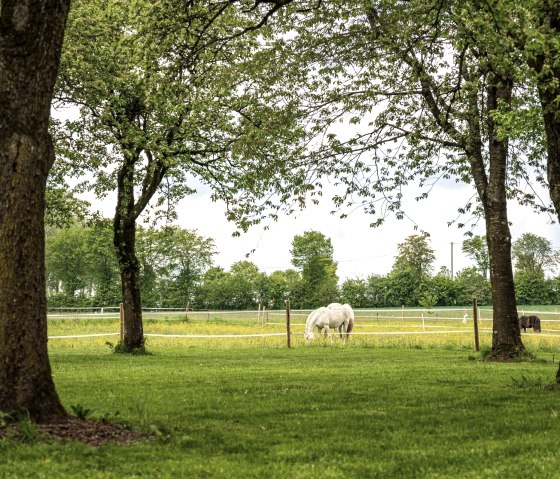 1920__output_Buero_140523_Orsfeld_Ferienwohnung_A7 1920__output_Buero_140523_Orsfeld_Ferienwohnung_A7