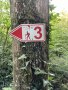 Un arbre dans la forêt avec un panneau de signalisation. Le panneau montre un 3 rouge et un randonneur avec un bâton sous un soleil., © André Szybalsky Un arbre dans la forêt avec un panneau de signalisation. Le panneau montre un 3 rouge et un randonneur avec un bâton sous un soleil., © André Szybalsky