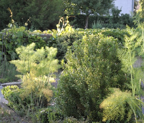 Im Garten2 Im Garten2