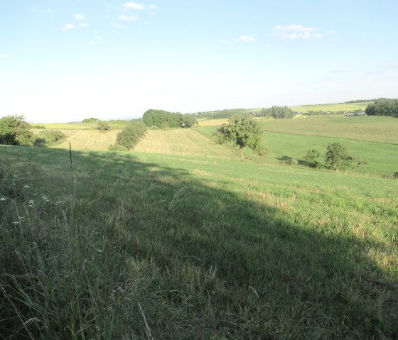 Nattenheimer-Hexenweg-2, © Geschichtlicher Arbeitskreis Nattenheim Nattenheimer-Hexenweg-2, © Geschichtlicher Arbeitskreis Nattenheim