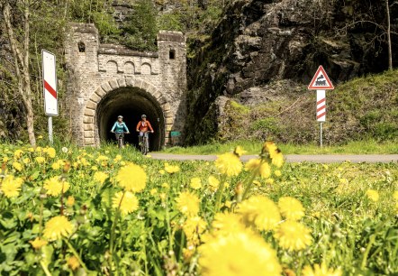 Enz-Radweg, ancien tunnel ferroviaire près de Neuerburg, © Eifel Tourismus GmbH, Dominik Ketz Enz-Radweg, ancien tunnel ferroviaire près de Neuerburg, © Eifel Tourismus GmbH, Dominik Ketz