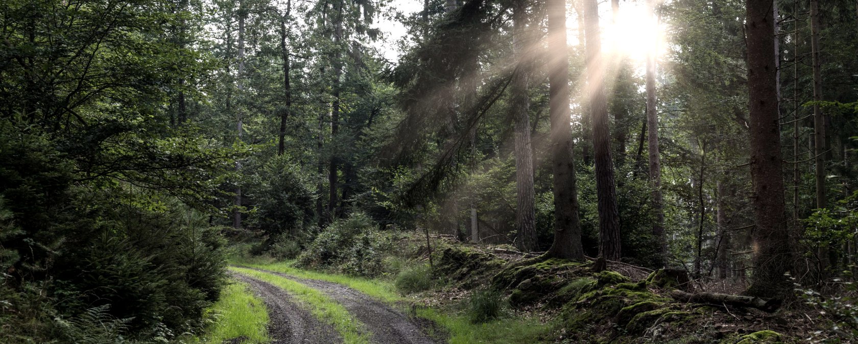 Unterwegs auf der Oberkail-Himmeord-Schleife, © Thomas Urbany; Naturpark Südeifel Unterwegs auf der Oberkail-Himmeord-Schleife, © Thomas Urbany; Naturpark Südeifel