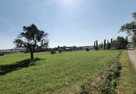 A green meadow with a tree, a village and wind turbines in the background, under a clear blue sky., © TI Bitburger Land A green meadow with a tree, a village and wind turbines in the background, under a clear blue sky., © TI Bitburger Land