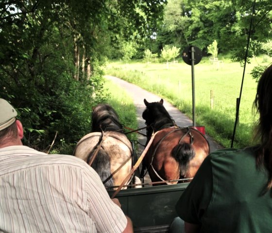 PeppleAnDenLeinen PeppleAnDenLeinen